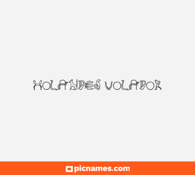 Holandés Volador